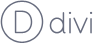 Government Auditors